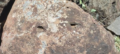 IMG_20260614_132650.jpg