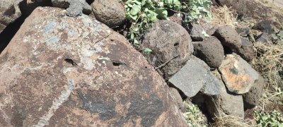 IMG_20260614_132658.jpg
