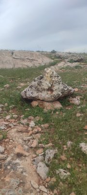 IMG_20260425_172455.jpg