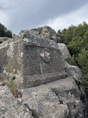 IMG_6778.jpg