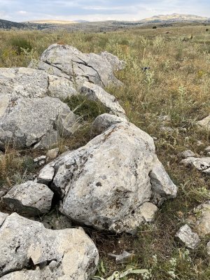 IMG_6332.jpeg