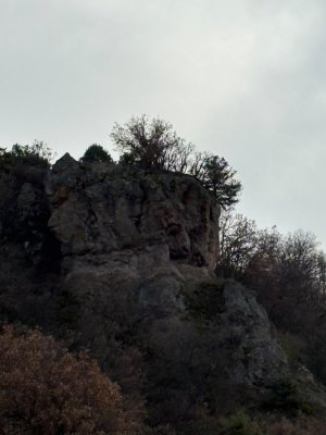 IMG-20260722-WA0003.jpg