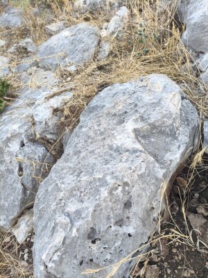 IMG_20260804_185537.jpg