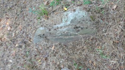 IMG-20260807-WA0013.jpeg