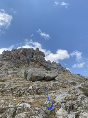 IMG_7764.jpeg