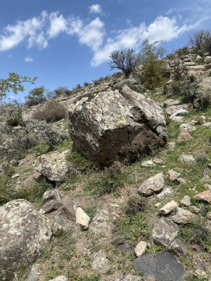 IMG_4474.jpeg