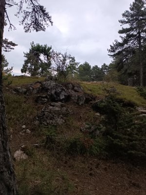 IMG_20260828_170938.jpg