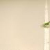vaho_ccc