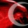 yusufemir