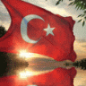 emre1343