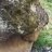 husel