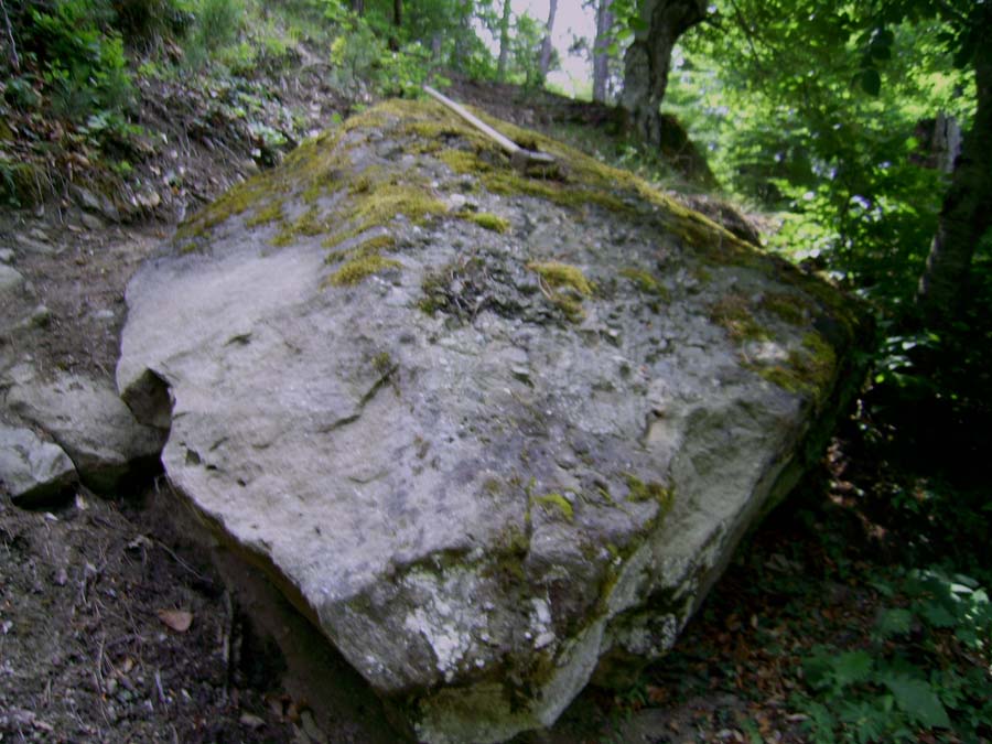 ibb.co