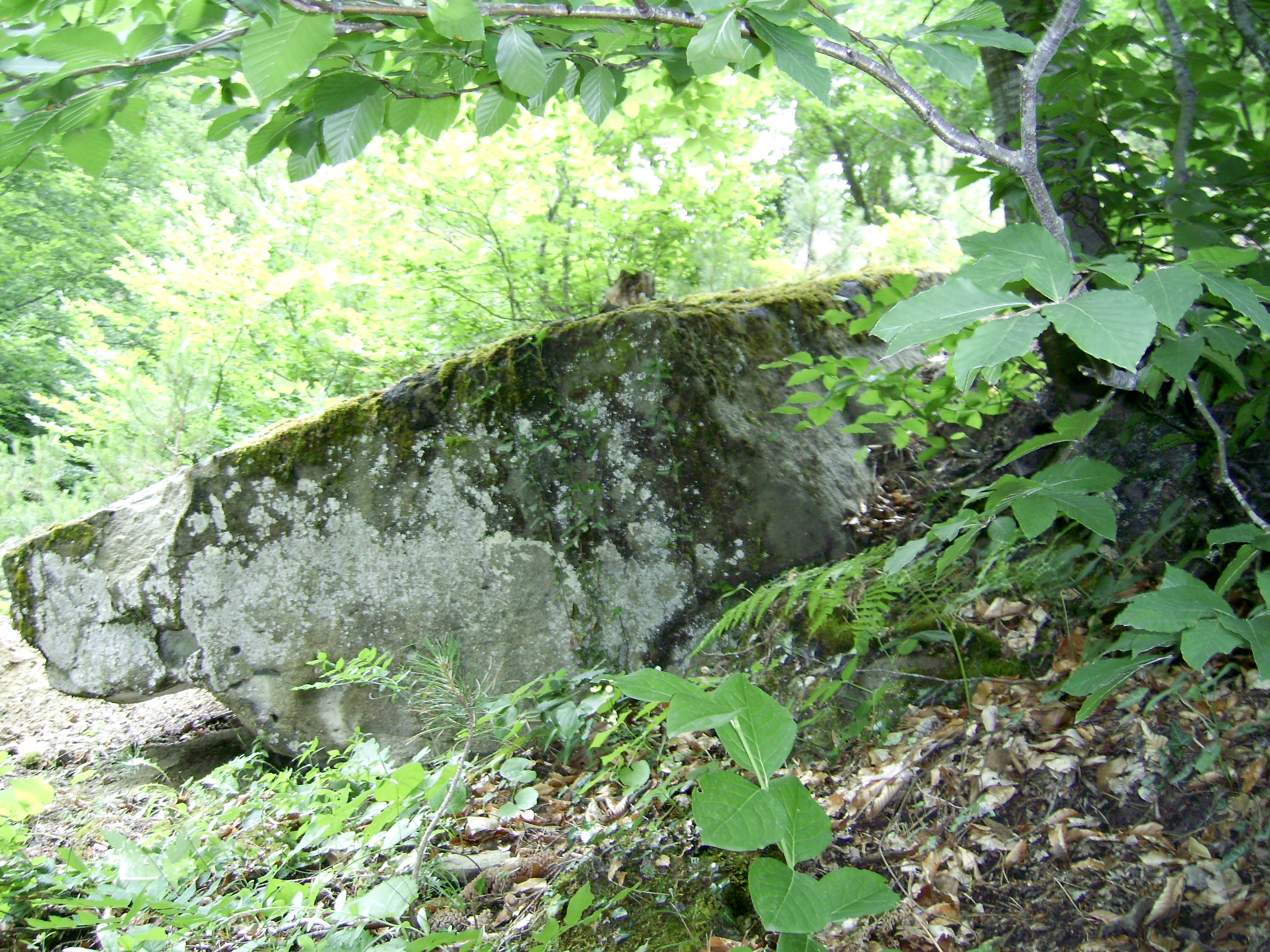 ibb.co
