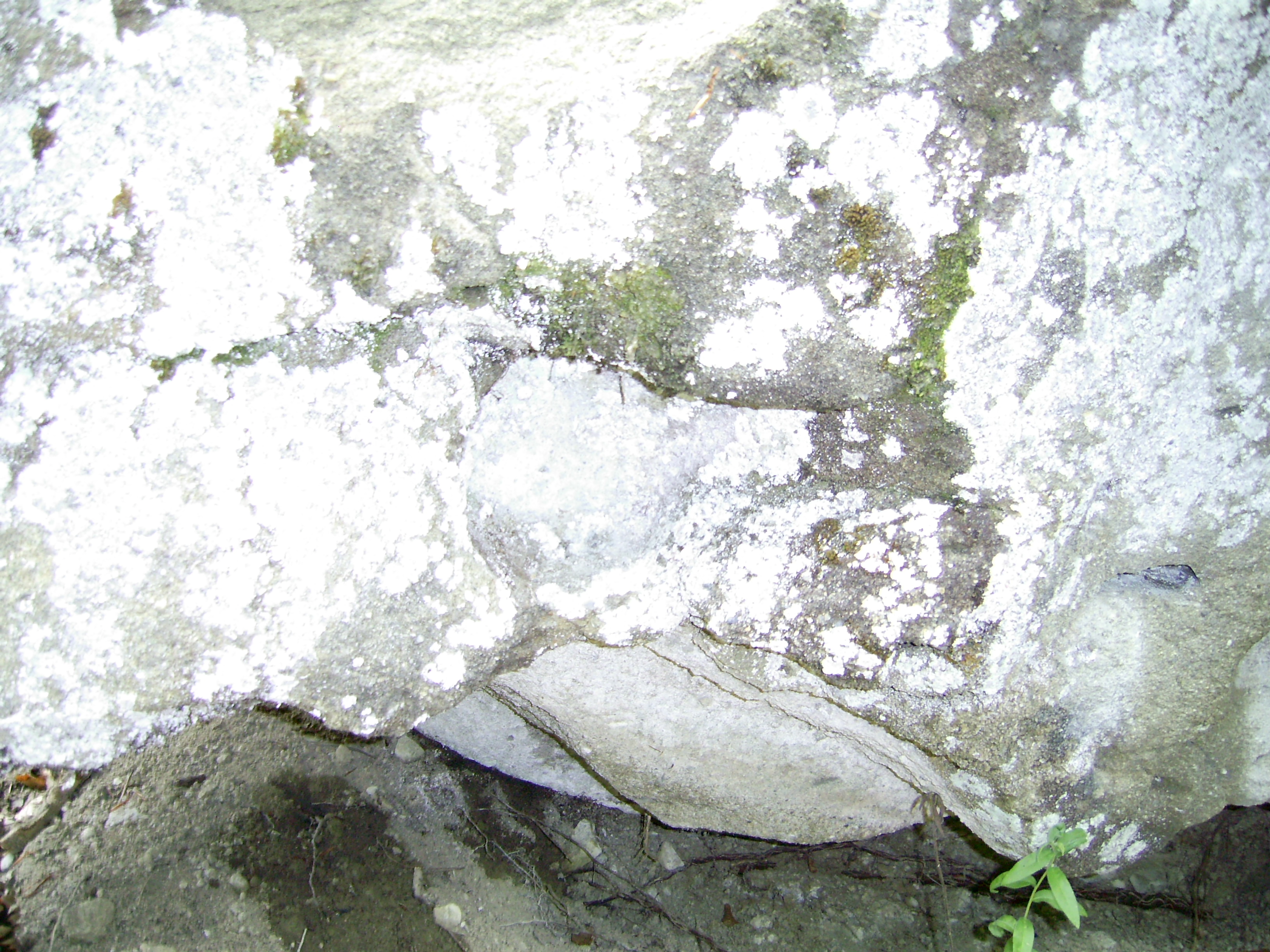 ibb.co