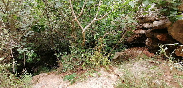 4-kisinin-define-ararken-kayboldugu-magara-girisi-goruntulendi_7763_dhaphoto2