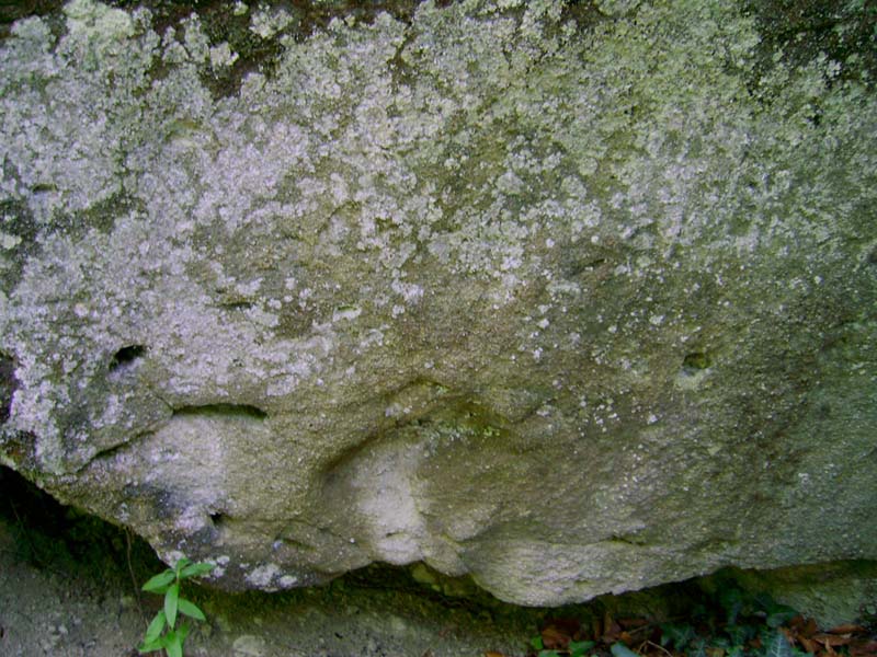 ibb.co