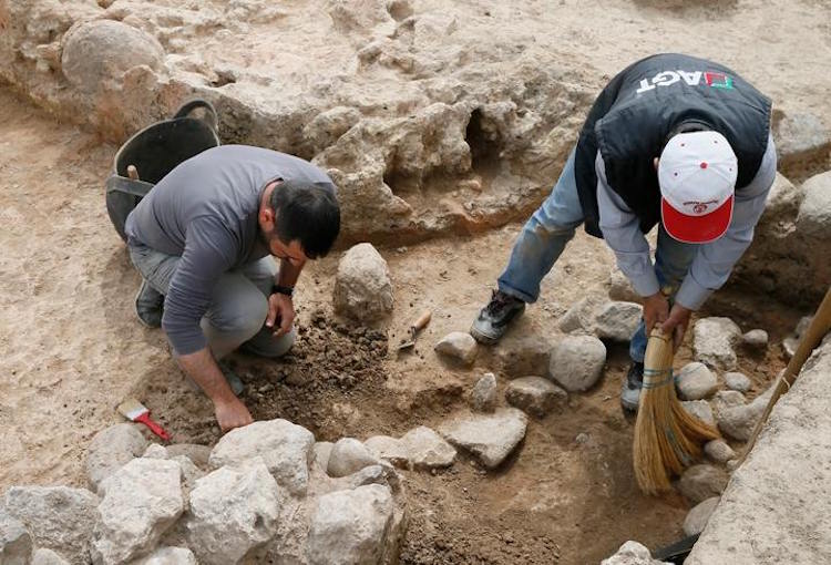 İzmir Yeşilova Höyüğünde 5.000 Yıllık Kemikte DNA Örneği Bulundu